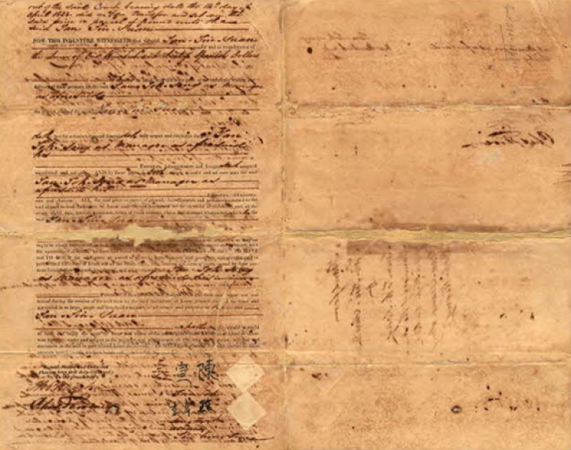 Image alt text